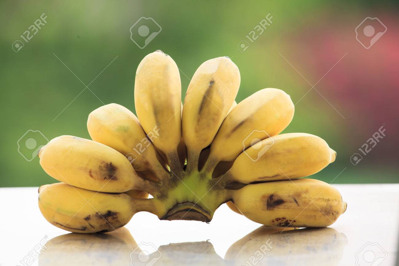 栽培バナナは バナナの東南アジア原産の種です の写真素材 画像素材 Image