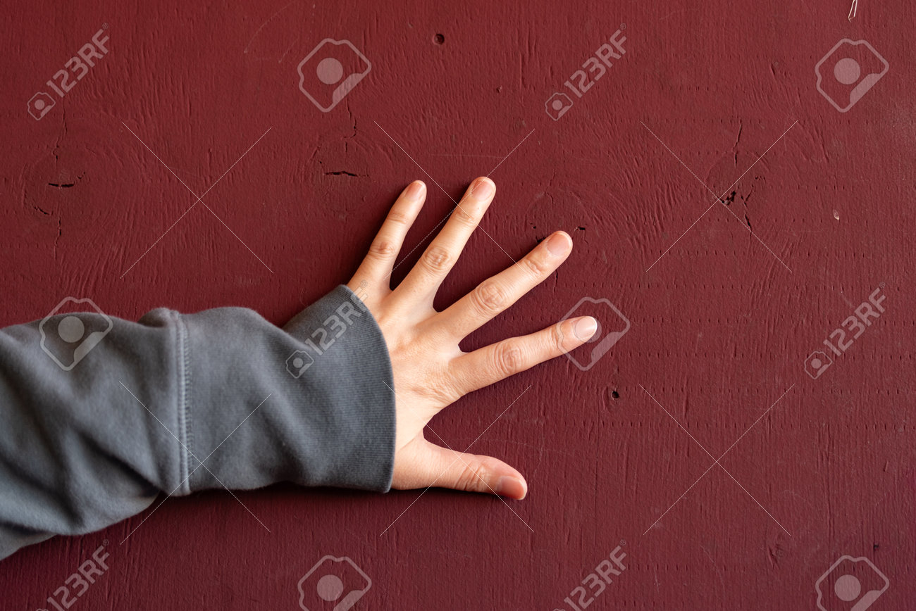 etiam-dictum-ipsum-a-felis