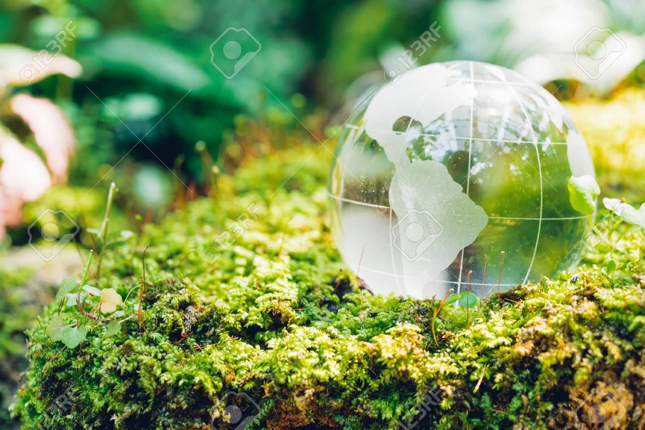 Globe glass in grass forest on nature background, Environment Day Concept - 122485690 Globe glass in grass forest on nature background, Environment Day Concept - 122485690