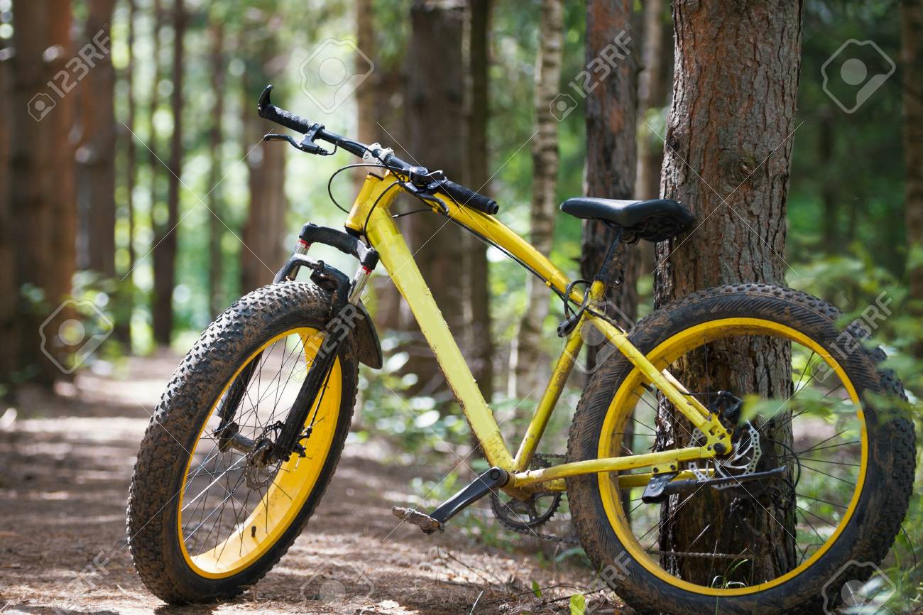 yellow bike rims