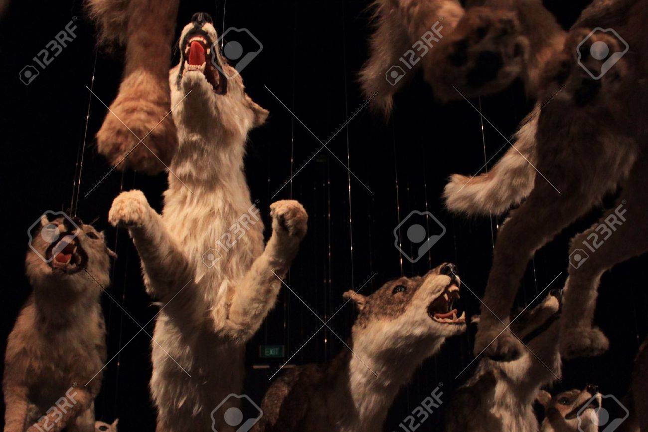 etiam-dictum-ipsum-a-felis