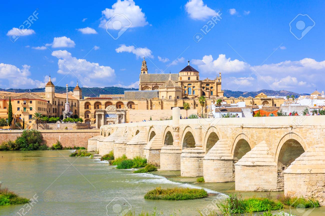 Image result for The Roman bridge in Cordoba