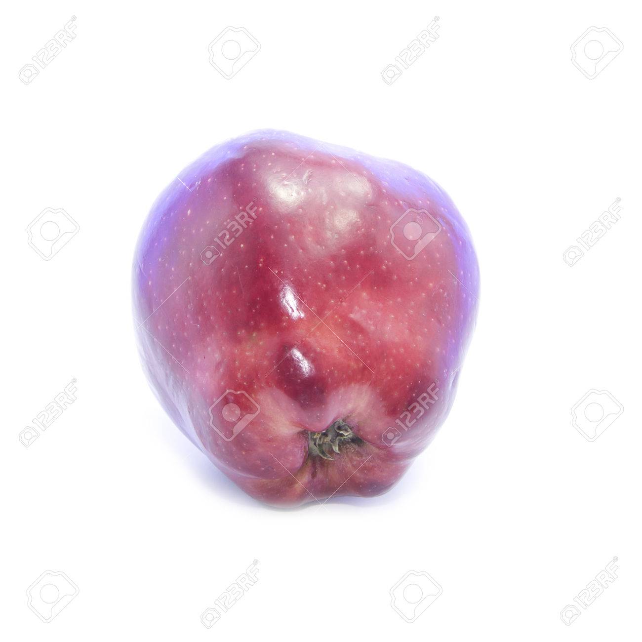 apple bottom videoz Spurting cum in pussy