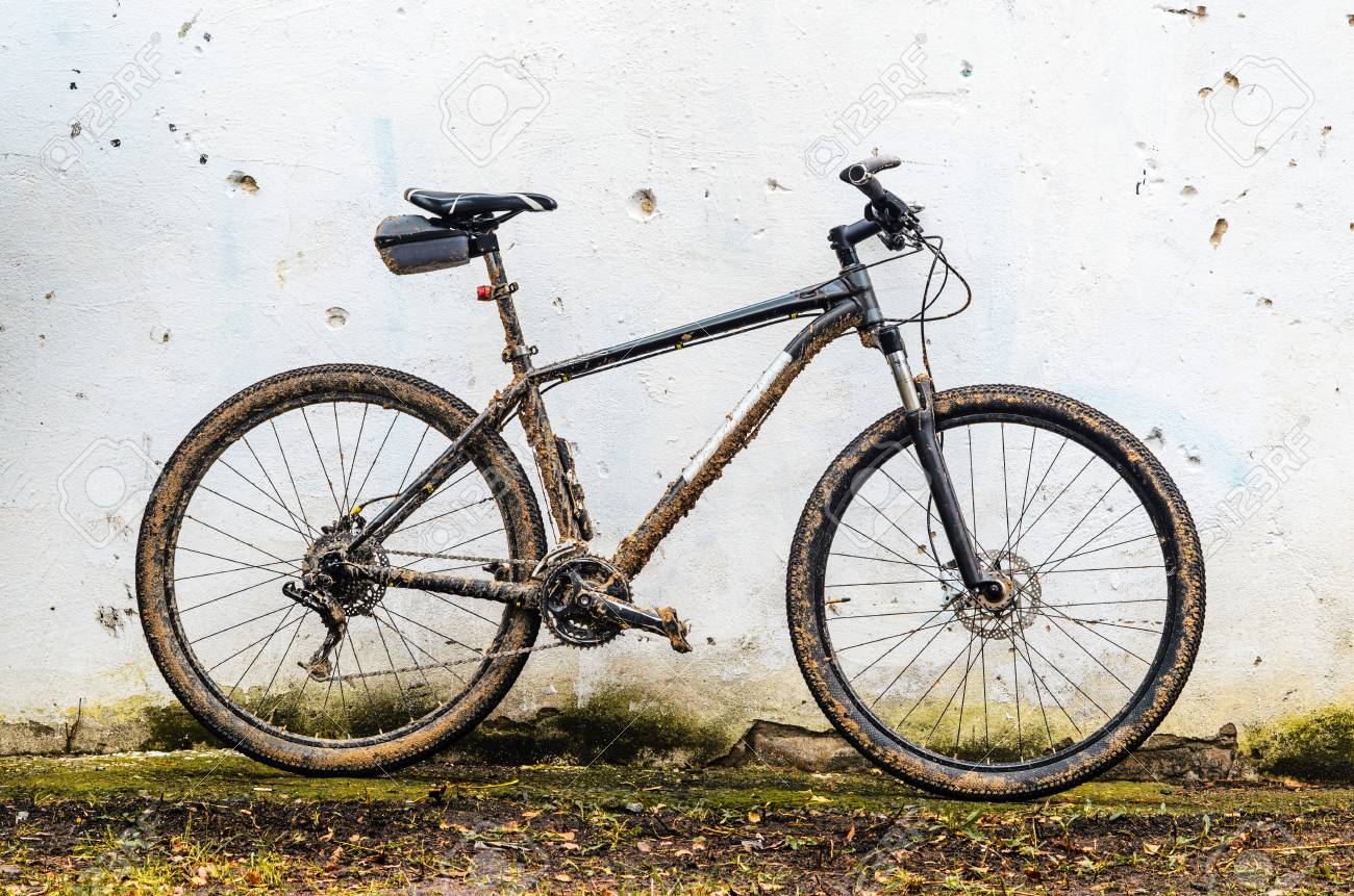 mtb 29er hardtail