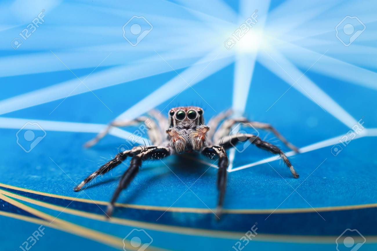 etiam-dictum-ipsum-a-felis