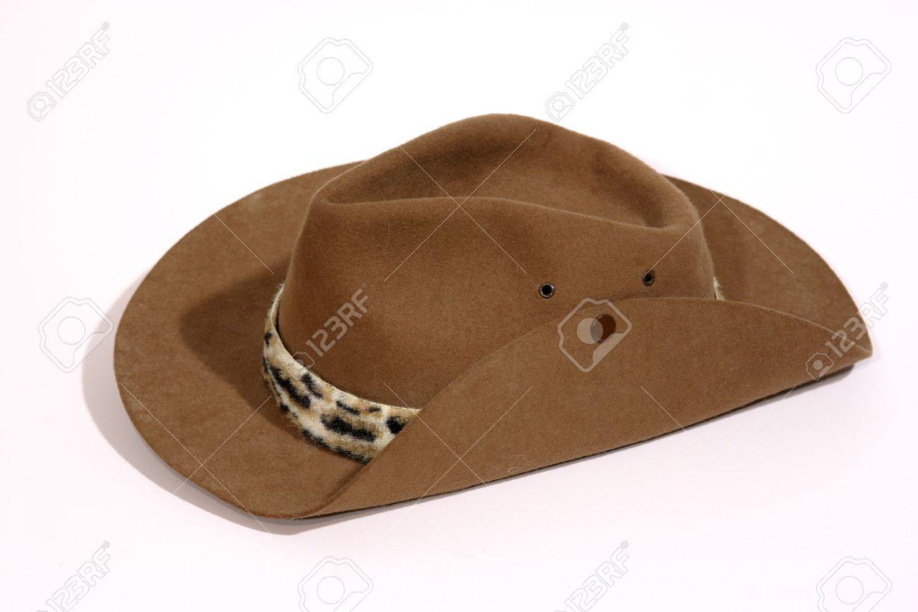 cowboy hat side view