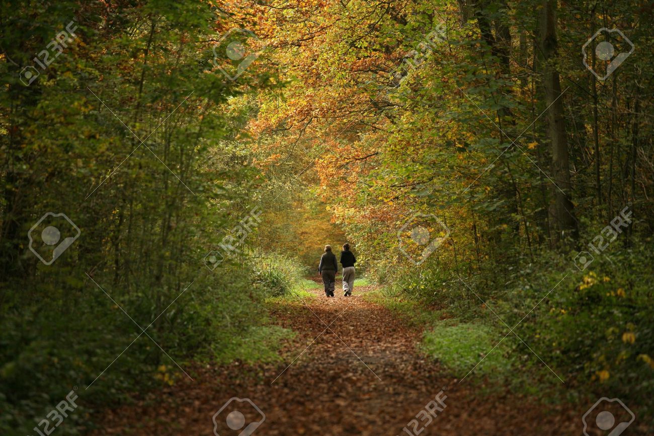 2 Women Walking Along Woodland Path In Autumn Stock Photo, Picture