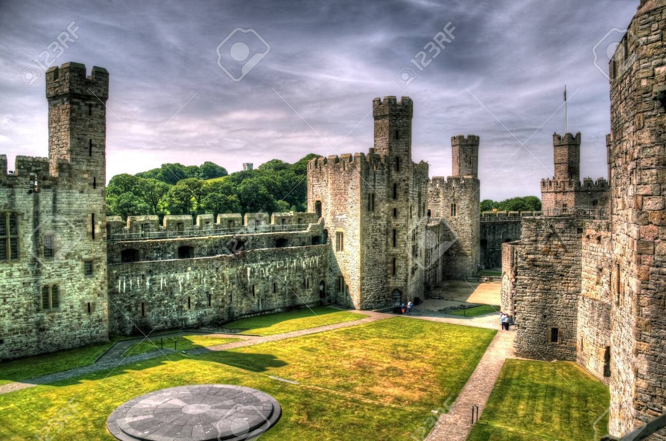 etiam-dictum-ipsum-a-felis