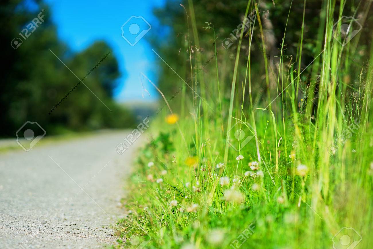 緑の国の道路の近くに草 hd を背景 ロイヤリティーフリーフォト