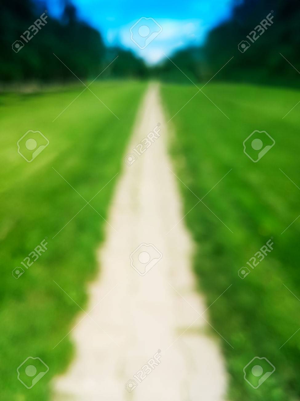 vertical park summer road