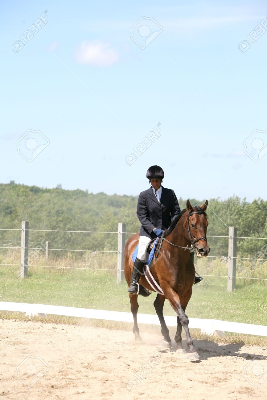 american girl brown horse