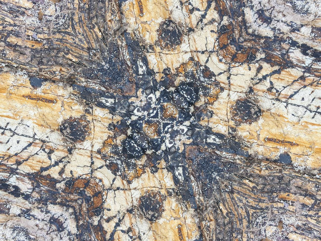 etiam-dictum-ipsum-a-felis