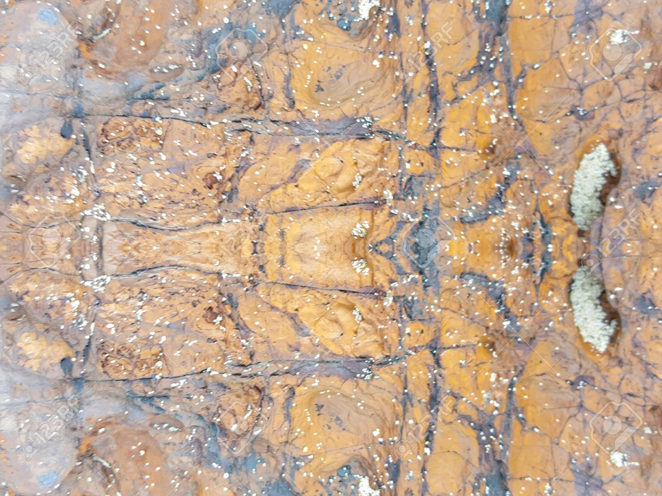 etiam-dictum-ipsum-a-felis