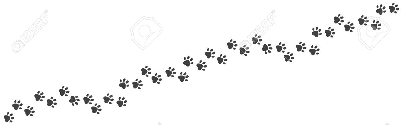 dog paw trail