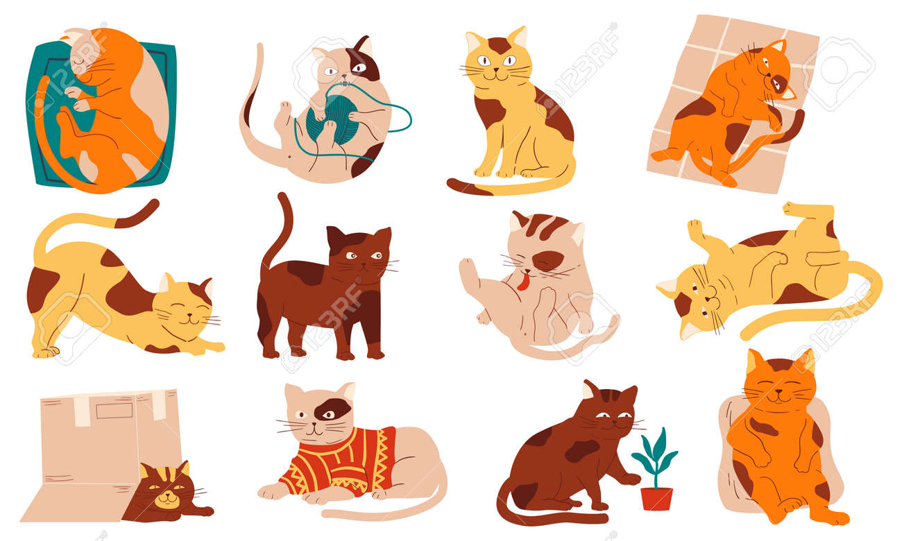 Doodle Cats Funny Home Pets Walking Sleeping Playing And Stretching Purebred Cartoon Domestic Animals Collection Cheerful Fluffy Adorable Kitten In Different Poses Vector Isolated Set Royalty Free Cliparts Vectors And Stock Illustration