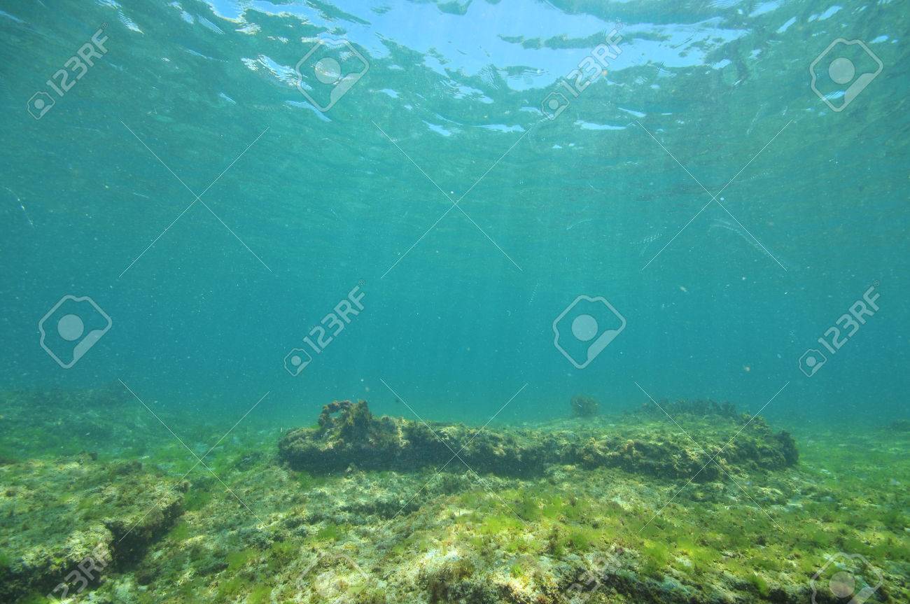 flat ocean bottom Massive old tits