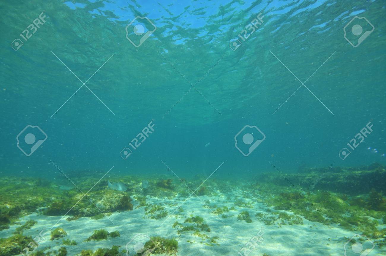 flat ocean bottom Sexual views in iceland