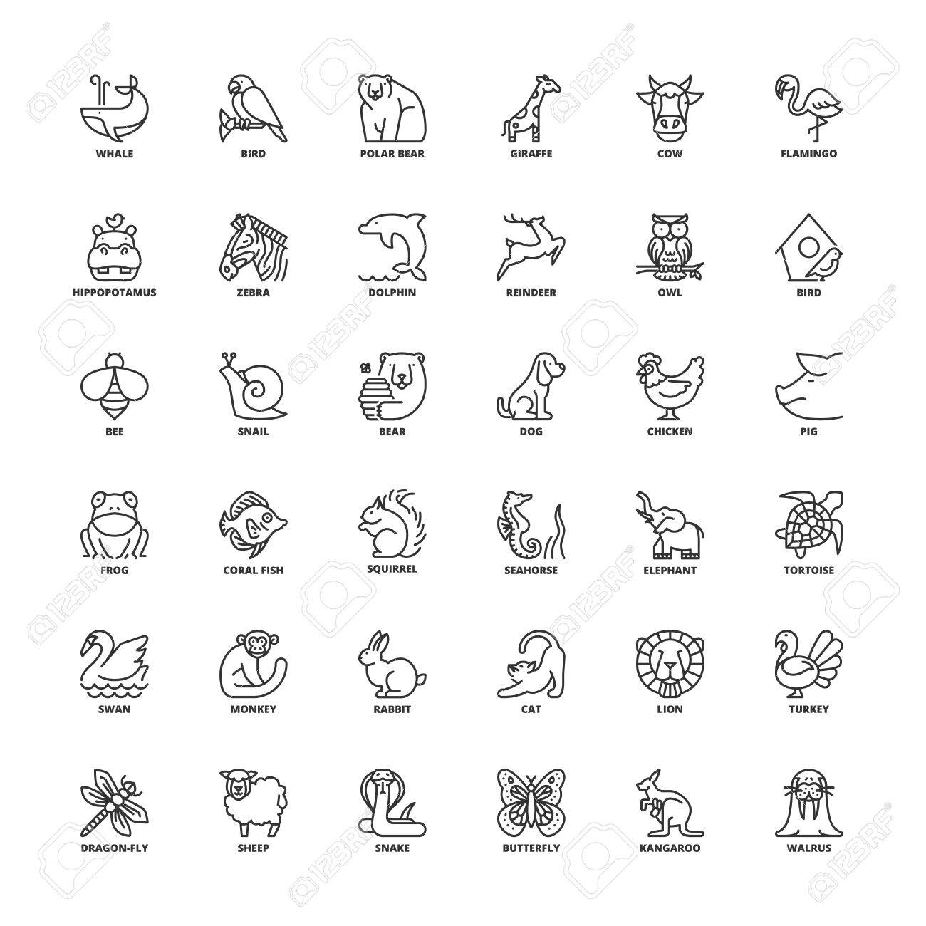 Outline Symbole Gesetzt. Flache Symbole Über Tiere Lizenzfrei nutzbare SVG,  Vektorgrafiken, Clip Arts, Illustrationen. Image 70971257.