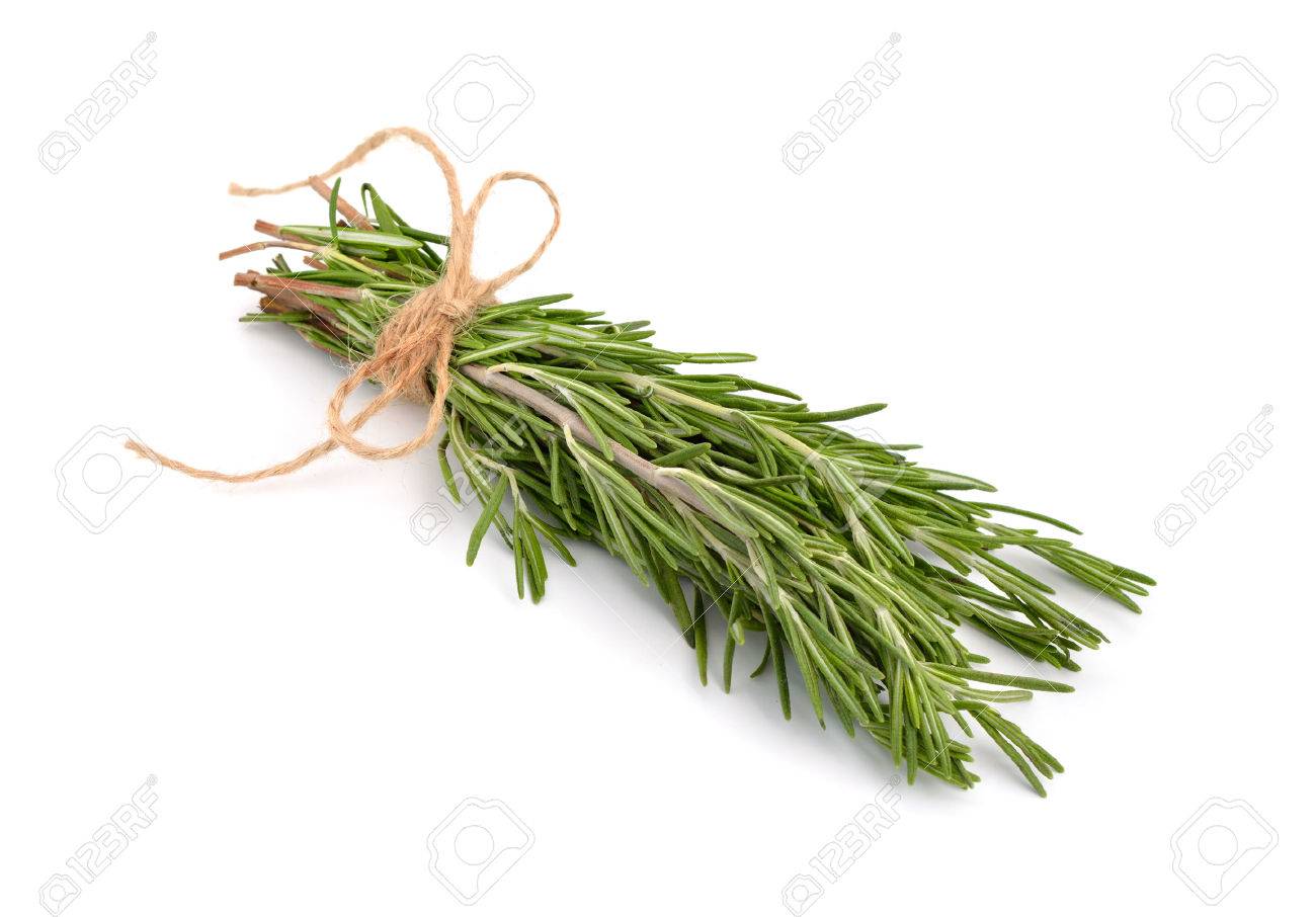 [Image: 40979580-rosemary-bunch-with-a-jute-rope-isolated.jpg]