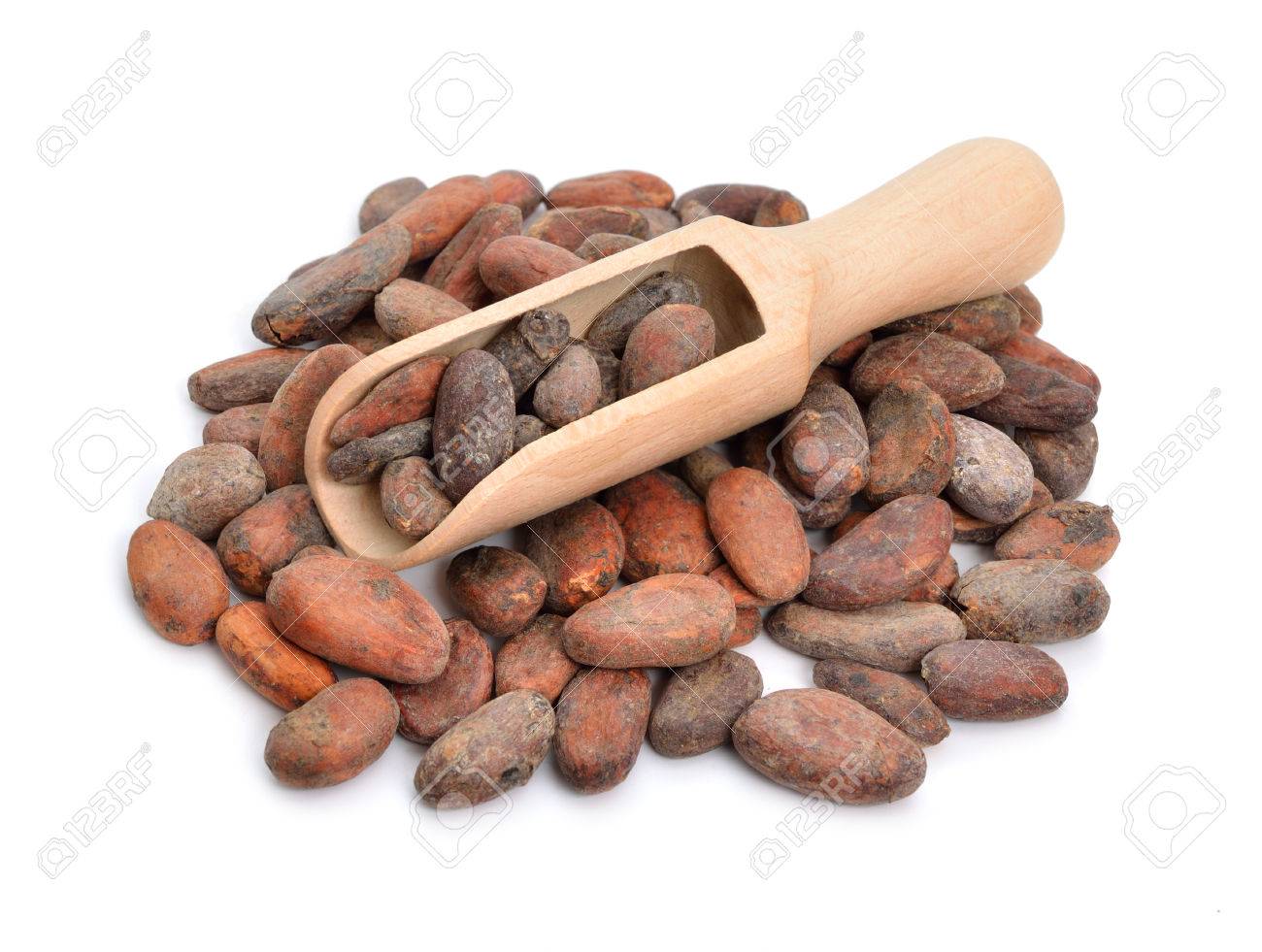 Cocoa beans before roast. Isolated on white background. - 44810204 Cocoa beans before roast. Isolated on white background. - 44810204