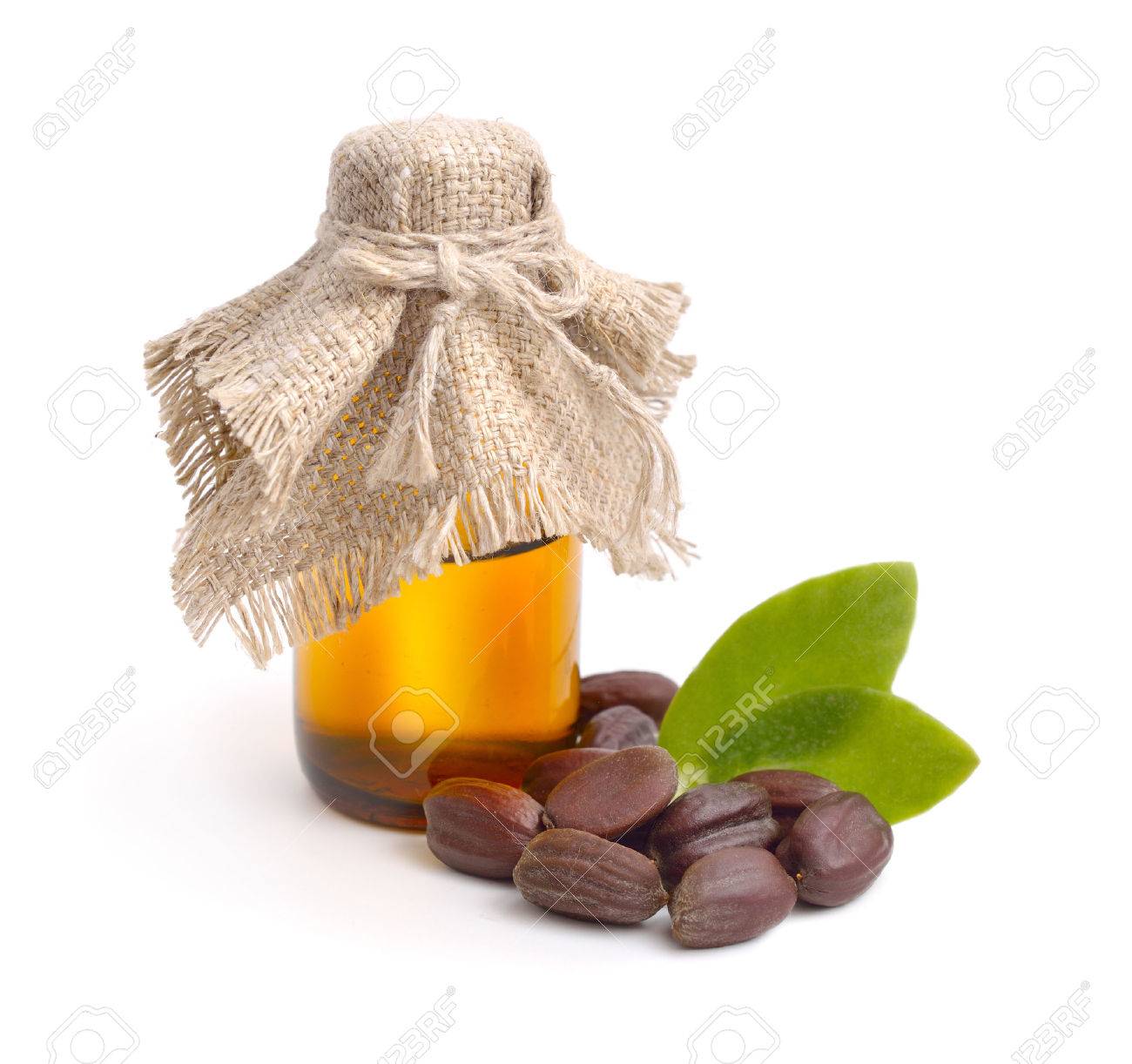 Jojoba (Simmondsia chinensis) leaves, seeds with oil. Isolated on withe beckground. - 47606765 Jojoba (Simmondsia chinensis) leaves, seeds with oil. Isolated on withe beckground. - 47606765