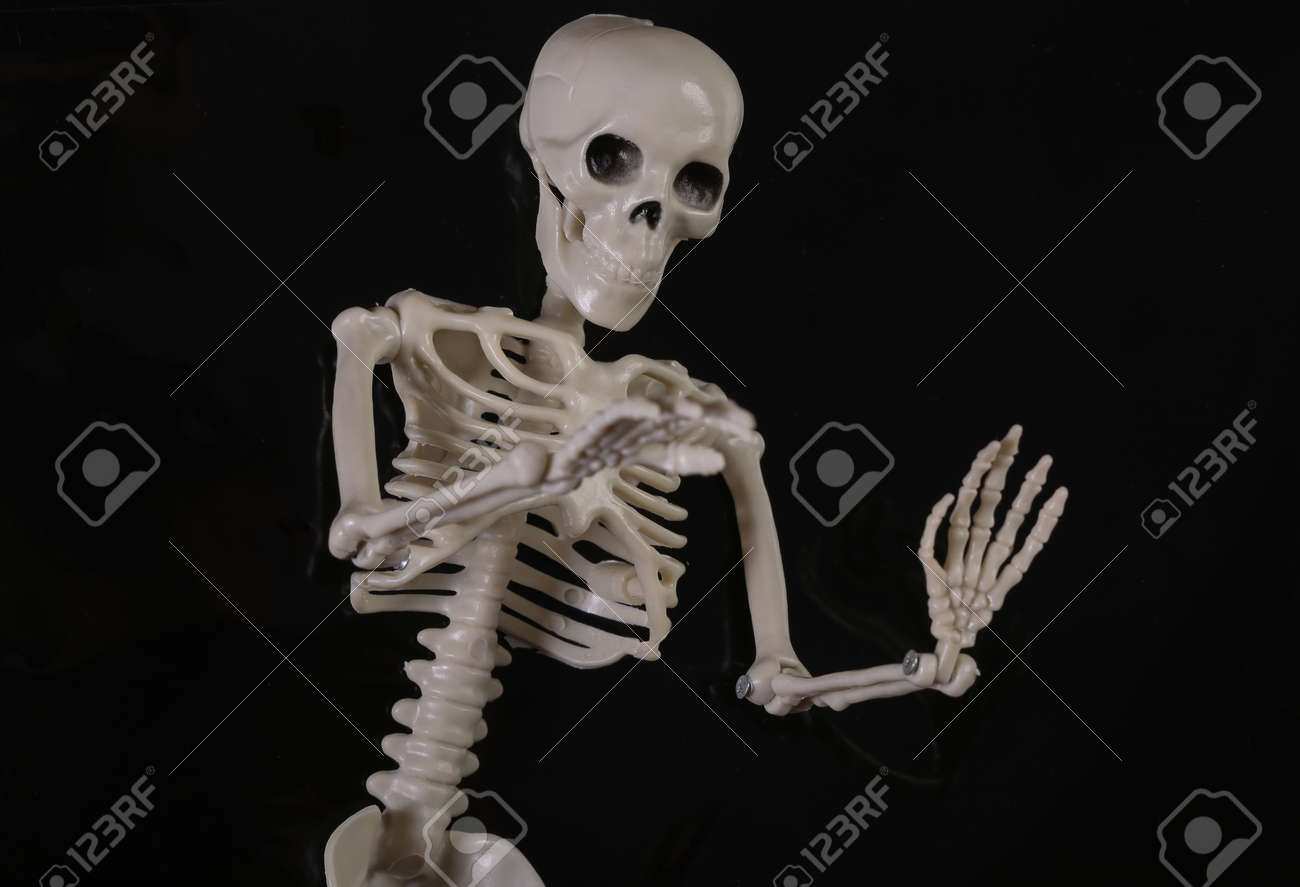 etiam-dictum-ipsum-a-felis