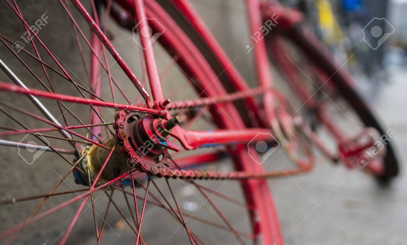 etiam-dictum-ipsum-a-felis