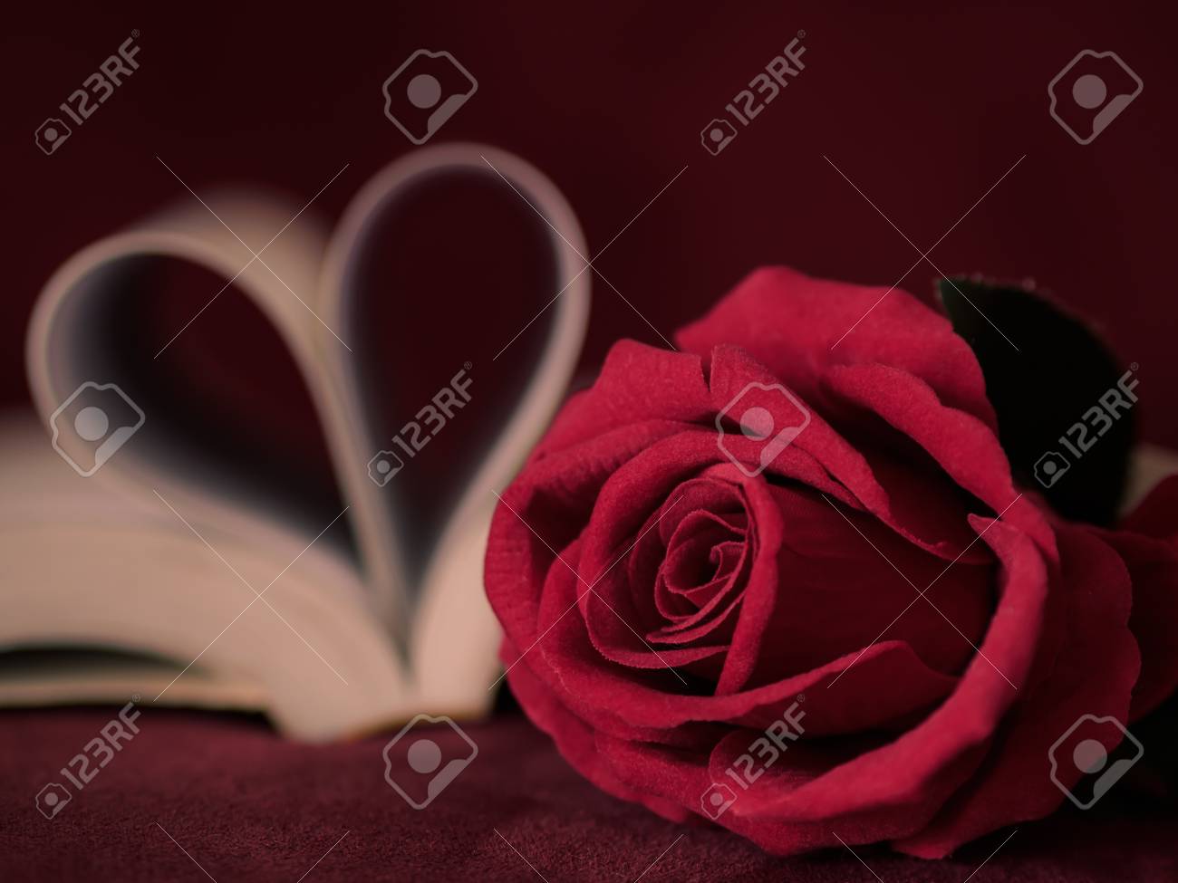 Style Retro Pour La Rose Rouge Avec Des Pages D Un Livre Incurve En Forme De Coeur Amour Et Concept De La Saint Valentin Banque D Images Et Photos Libres De Droits Image Style Retro Pour La Rose Rouge Avec Des Pages D Un Livre Incurve En Forme De Coeur Amour Et Concept De La Saint Valentin Banque D Images Et Photos Libres De Droits Image
