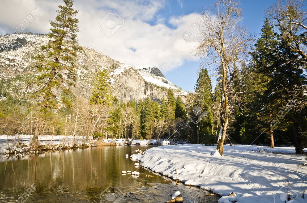 ヨセミテ国立公園 カリフォルニア州の冬の森の景色 の写真素材 画像素材 Image
