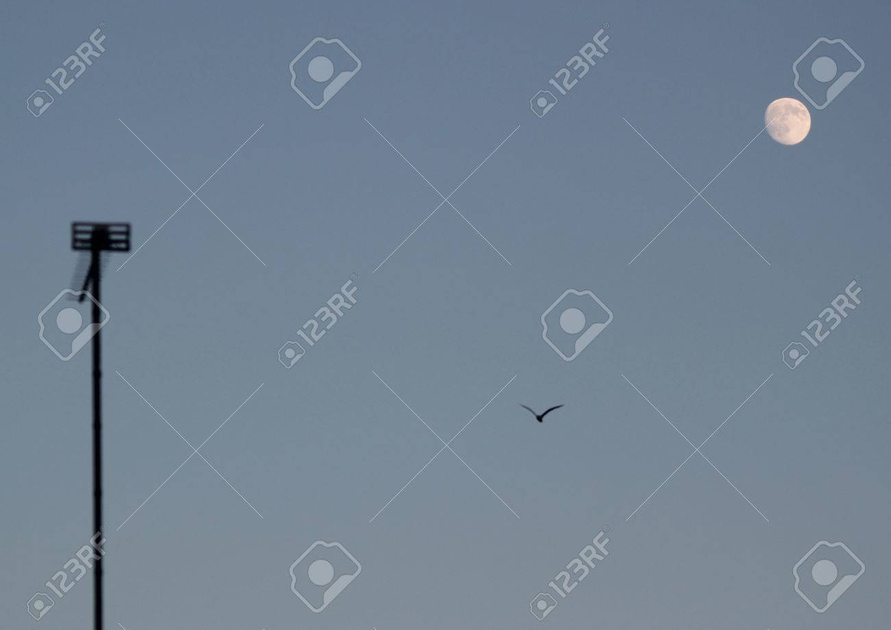 夕方の月 の写真素材 画像素材 Image