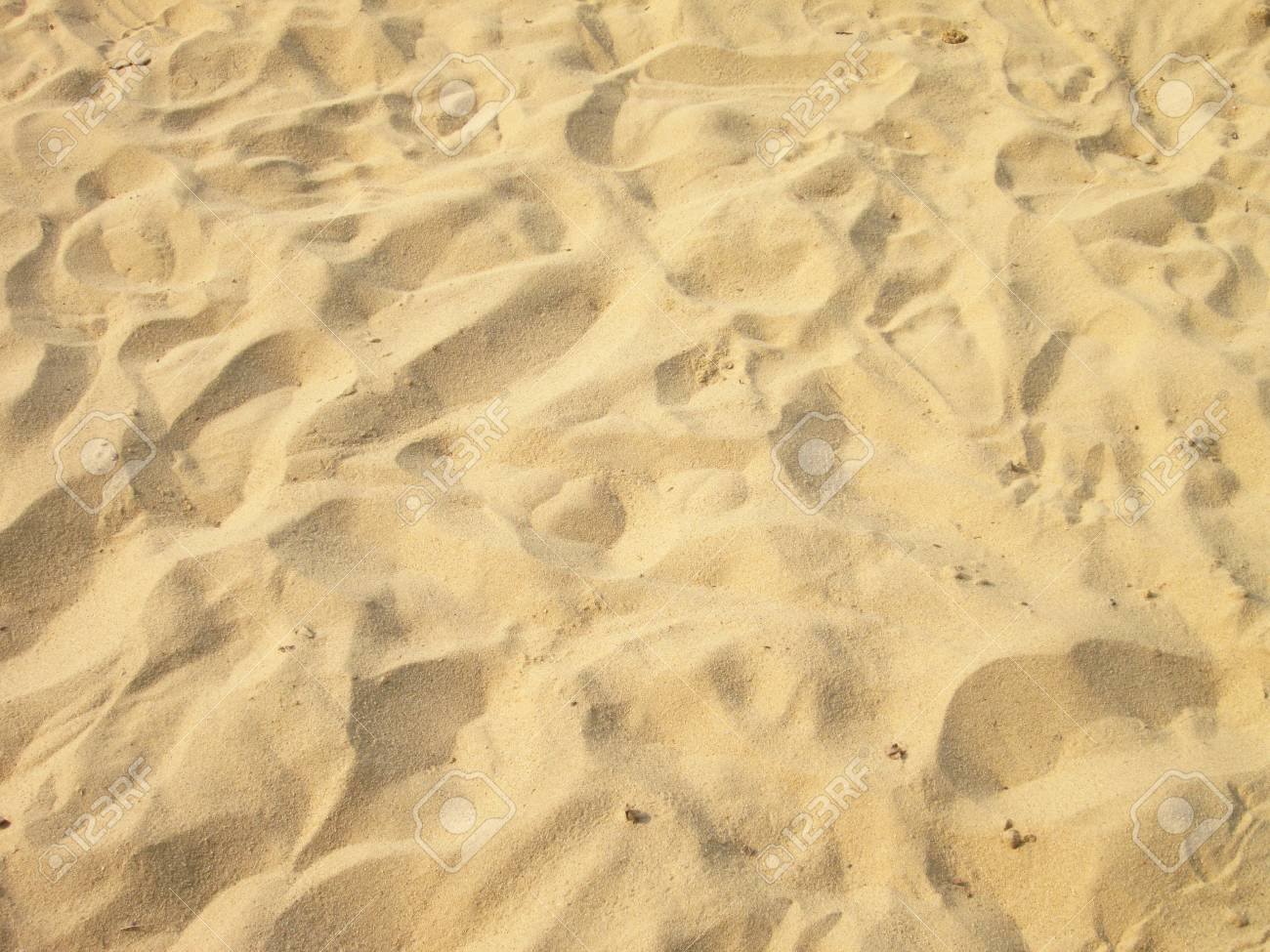 Gros Plan De Modèle De Sable Dune Plage En été