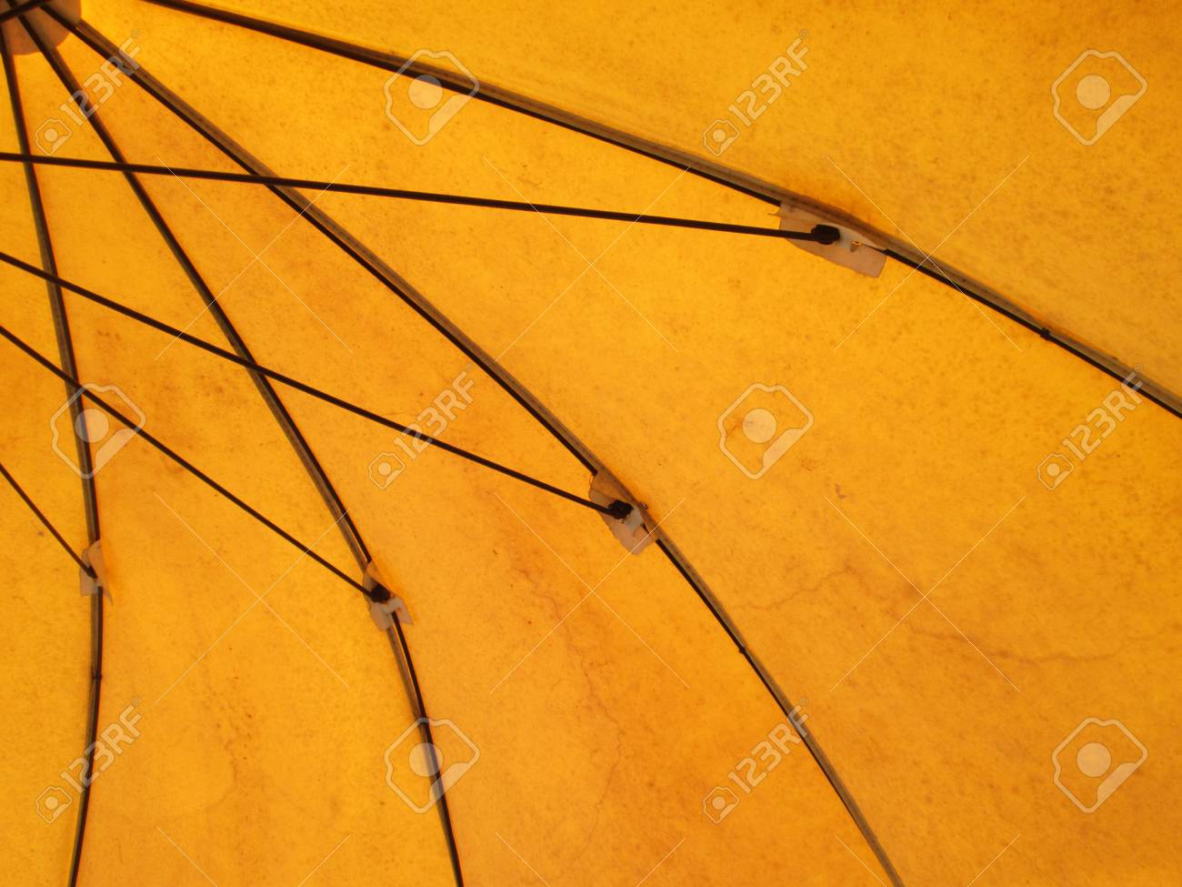 etiam-dictum-ipsum-a-felis