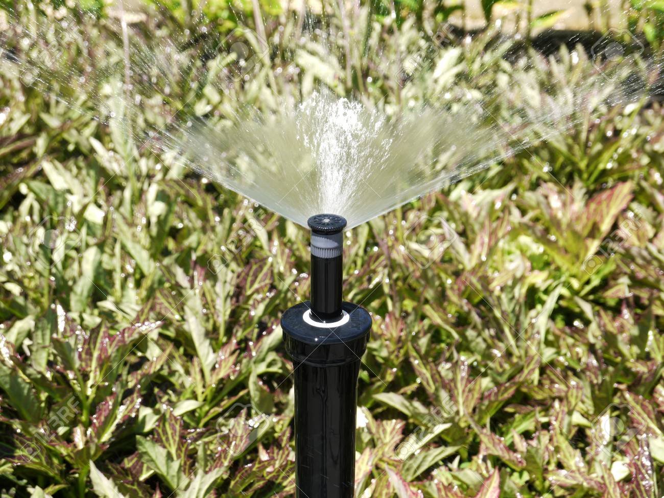 Sprinkler Im Park Garten Bewasserungssystem Bewasserung Rasen Lizenzfreie Fotos Bilder Und Stock Fotografie Image 60165887