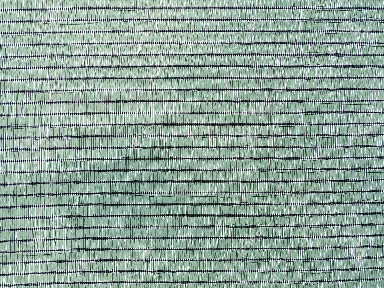 Textura Verde De La Lona Retratos, Imágenes Fotografía Archivo Libres De Derecho. Image 66980719.