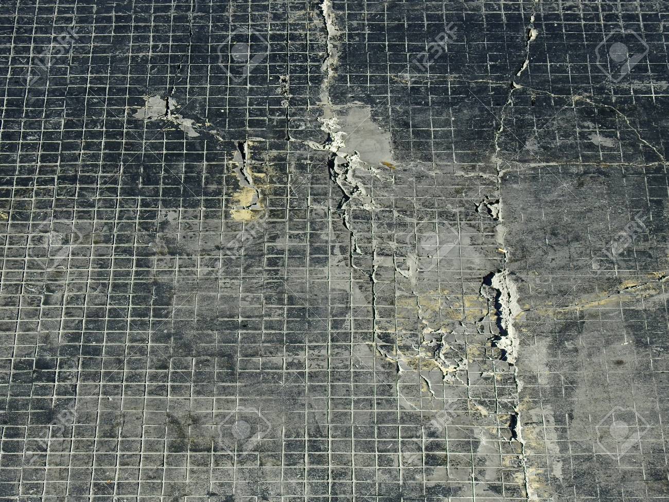 etiam-dictum-ipsum-a-felis