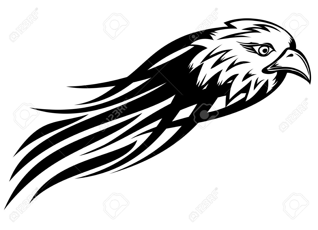 Eagle sketch pics
