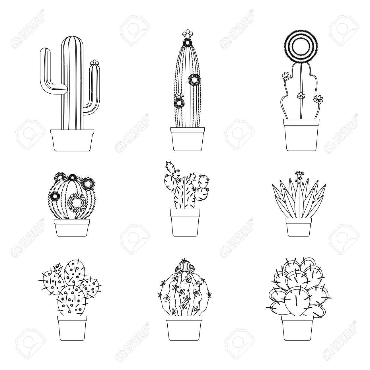 aislado icono de cactus delgada línea arte fijó para el diseño de