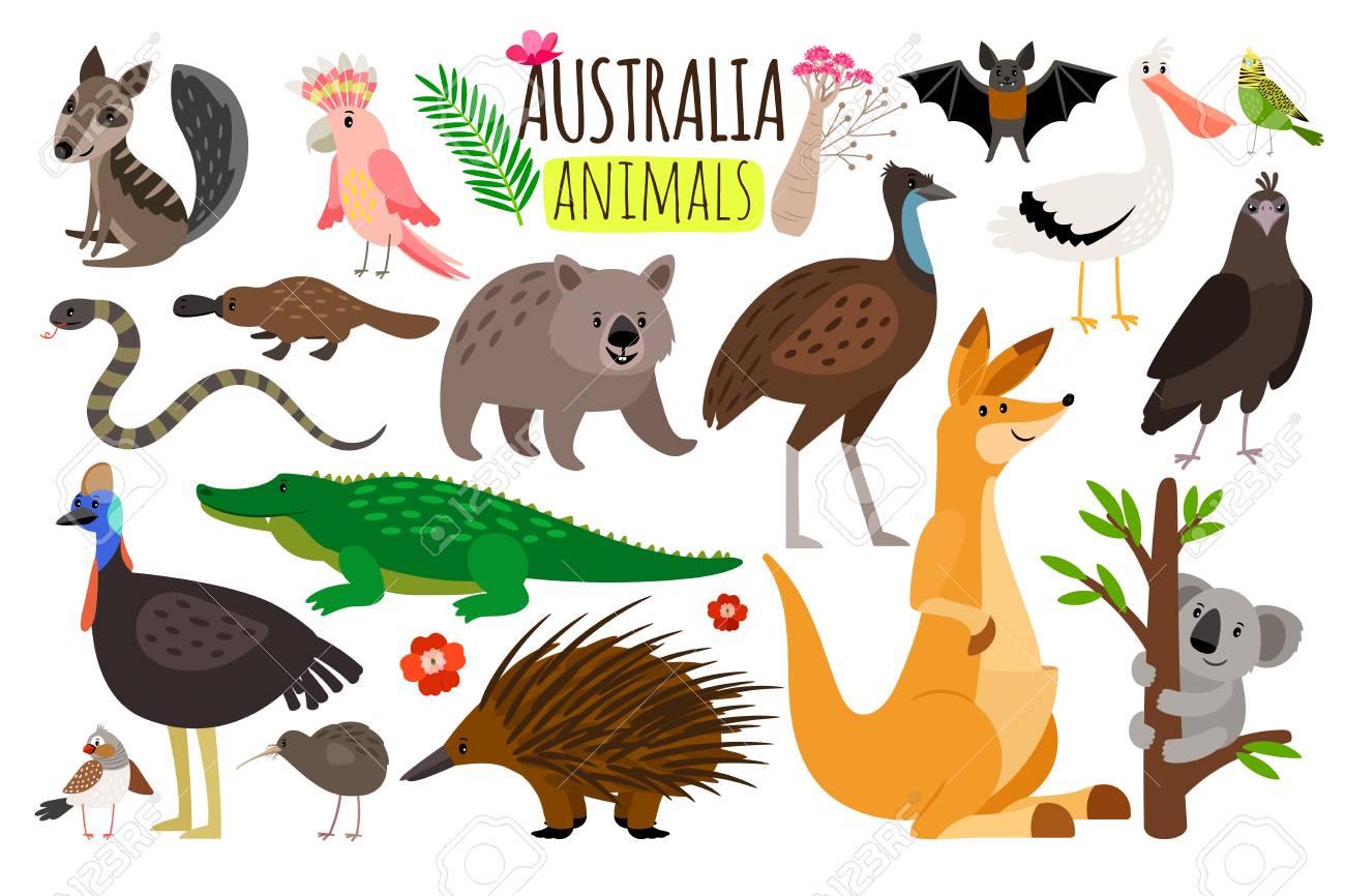 Australian animals. Vector animal icons of Australia, kangaroo and koala, wombat and ostrich emu - 98619658 Australian animals. Vector animal icons of Australia, kangaroo and koala, wombat and ostrich emu - 98619658