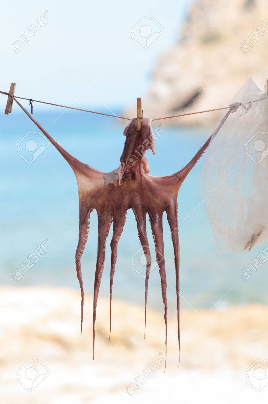 漁港 クレタ島 ギリシャの干し蛸 の写真素材 画像素材 Image