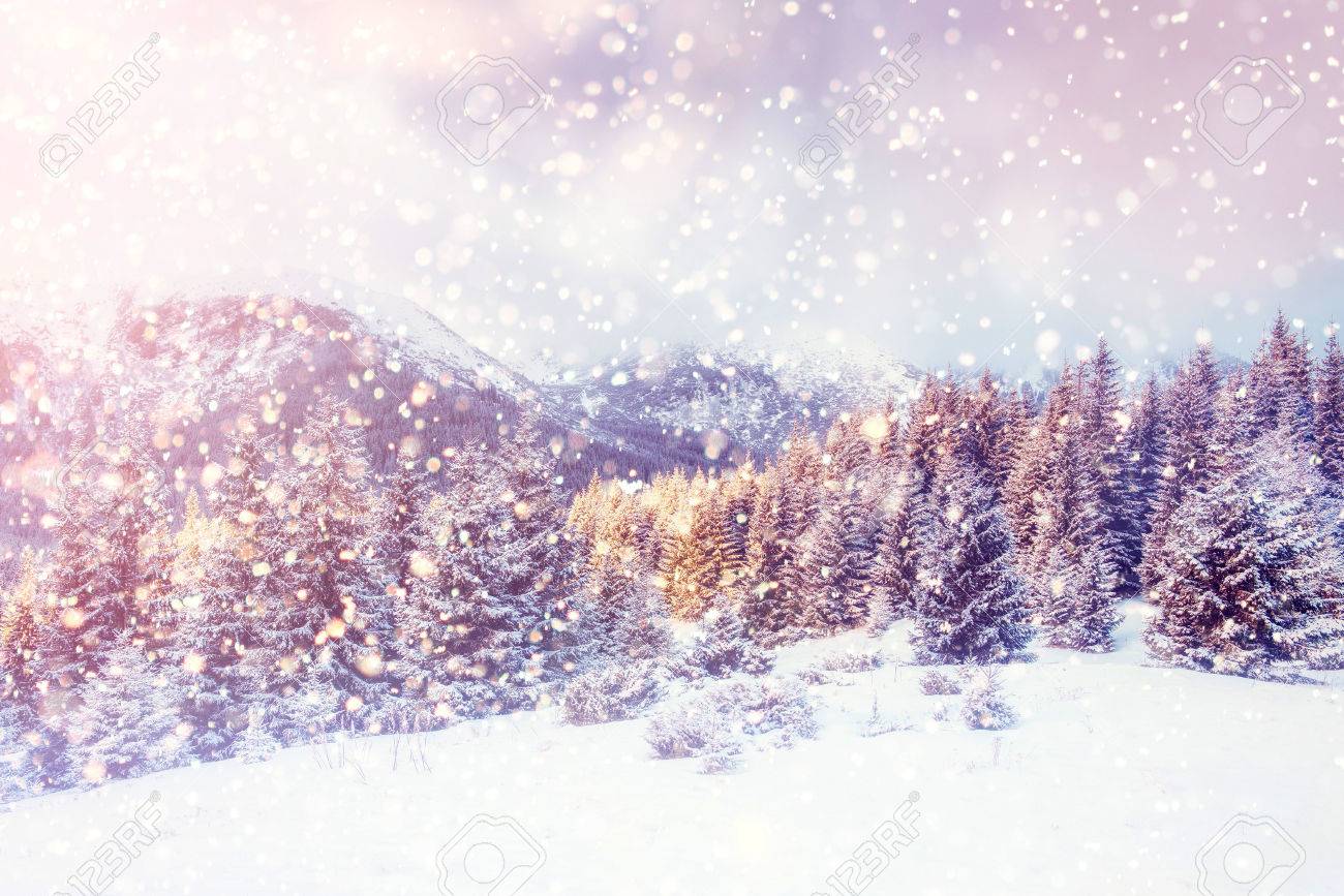 Magical Winter Landscape Background With Some Soft Highlights Stock Photo Picture And Royalty Free Image Image
