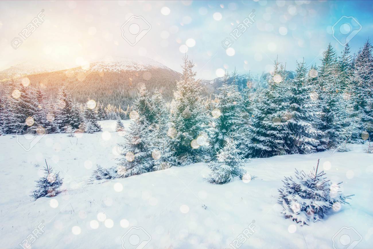 Magical Winter Landscape Background With Some Soft Highlights Stock Photo Picture And Royalty Free Image Image