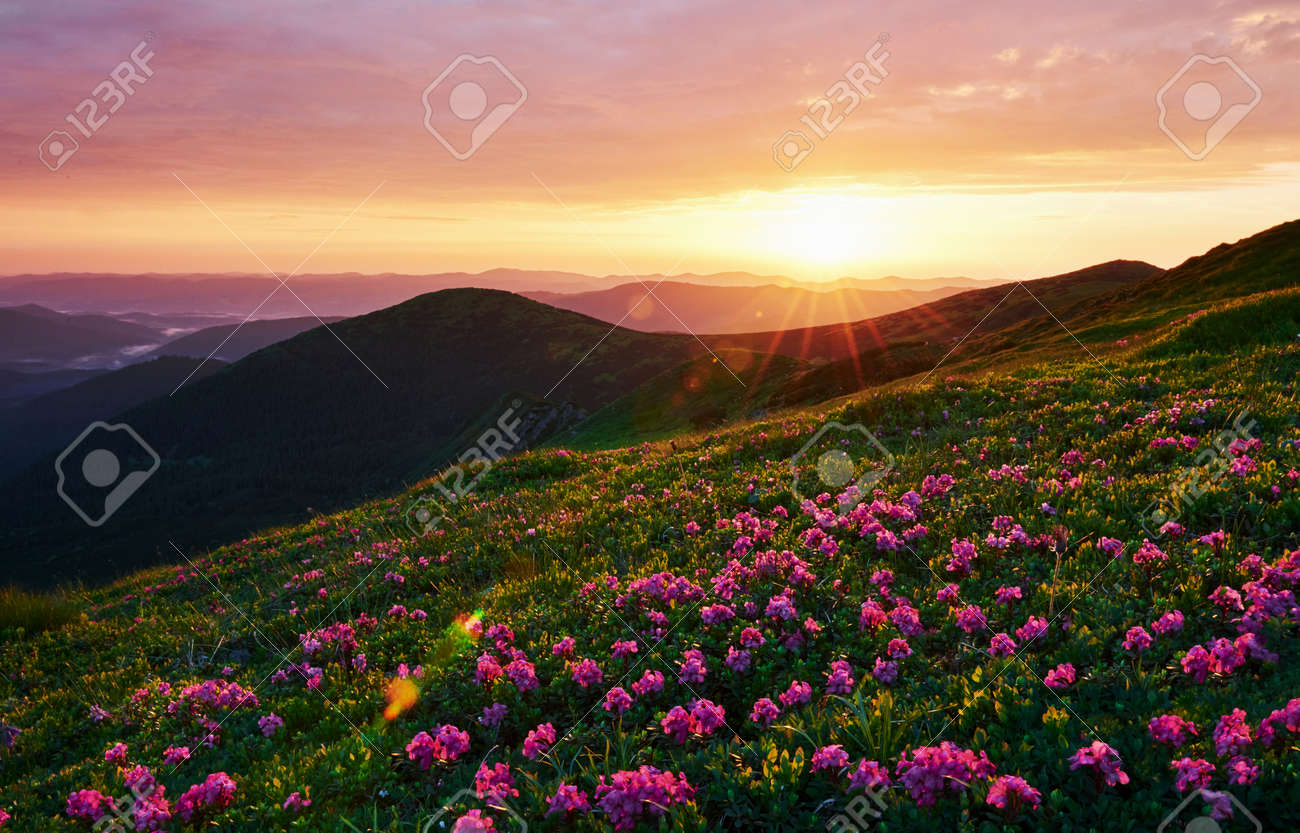 Cloudly sky. Majestic Carpathian mountains. Beautiful landscape. Breathtaking view. - 135511227 Cloudly sky. Majestic Carpathian mountains. Beautiful landscape. Breathtaking view. - 135511227