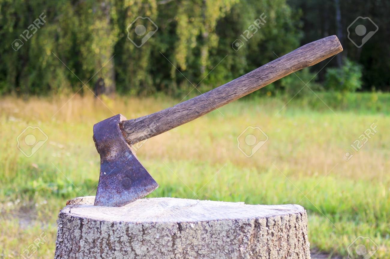 a hatchet on a stump on a green background ax hatchet axe stock