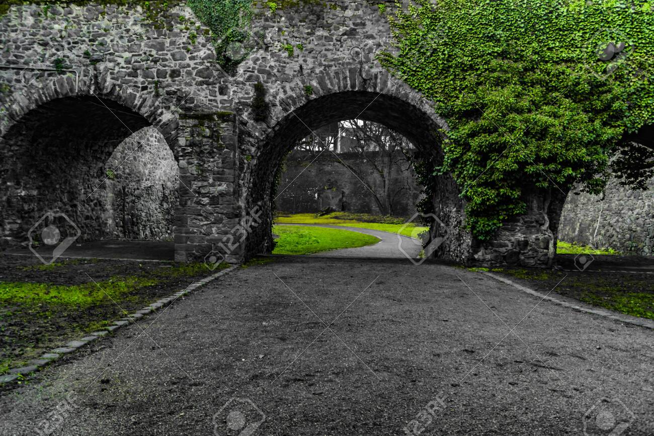 etiam-dictum-ipsum-a-felis