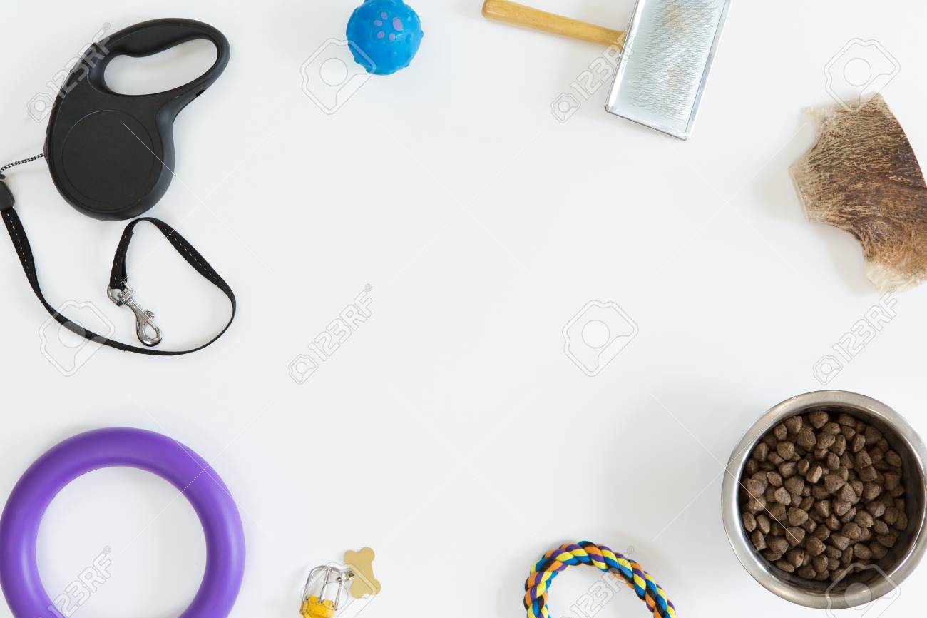 dog food accessories