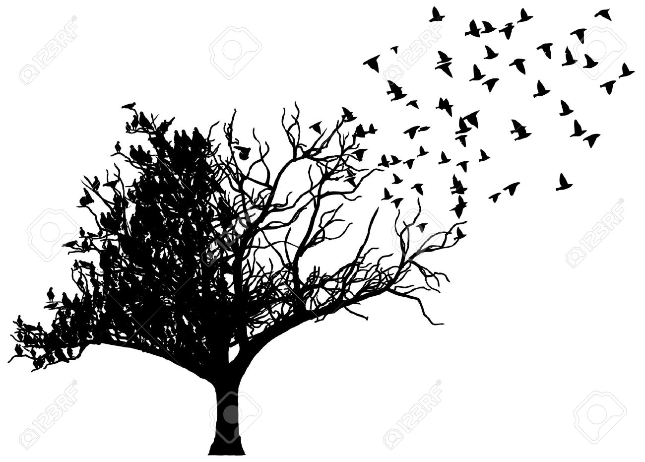 Art tree birds stock vector 14964492