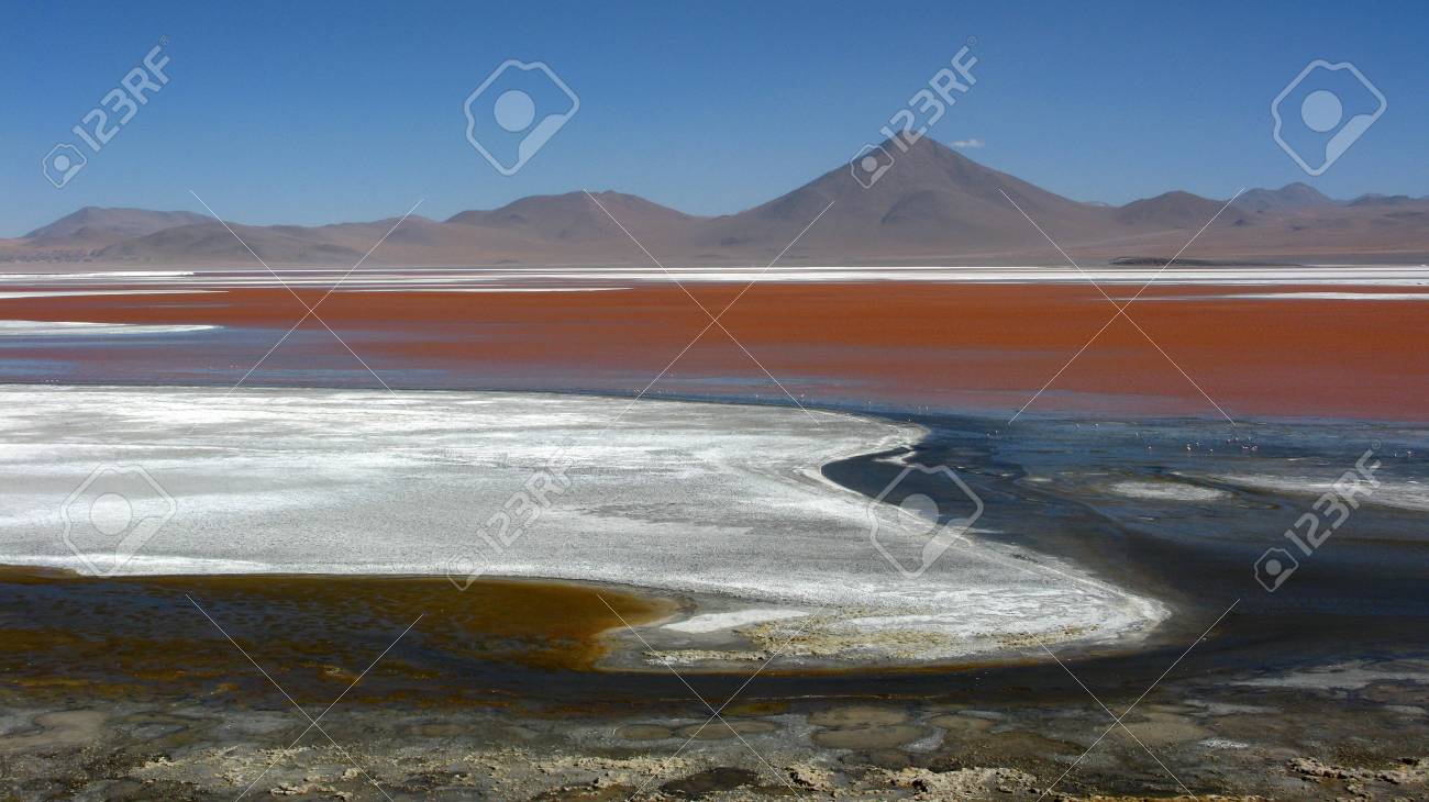 lago colorada salar de uyuni in bolivia stock photo picture and