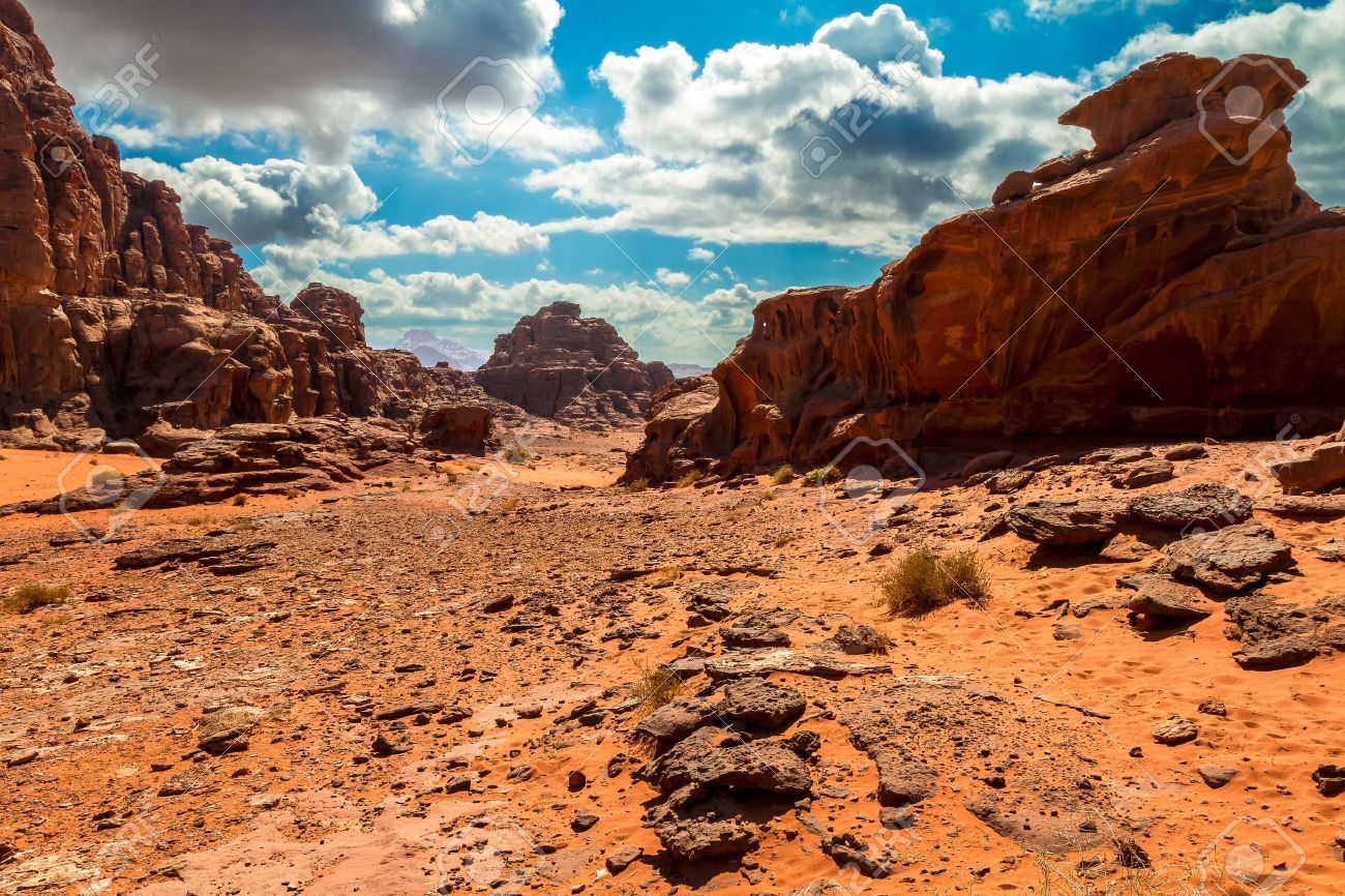 desert landscape