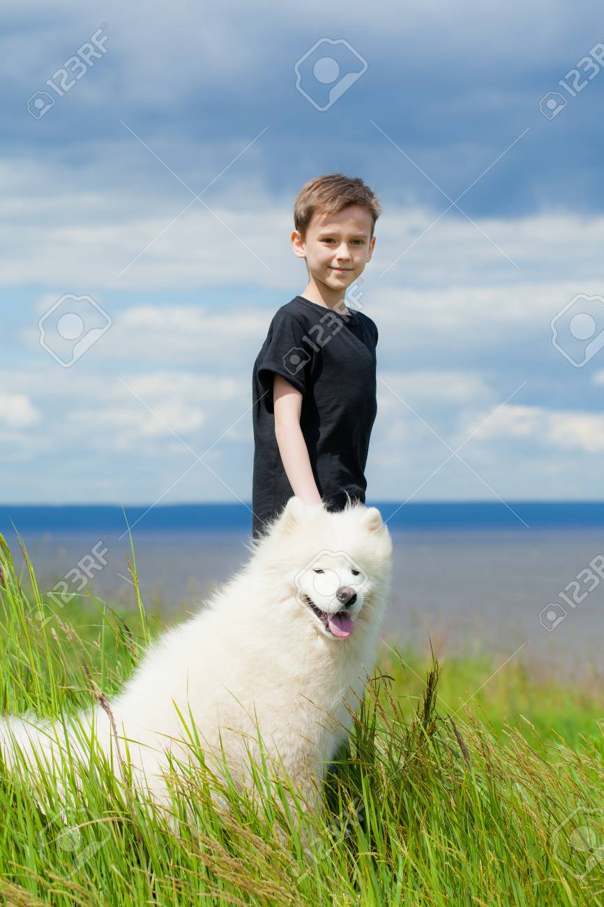 boy samoyed