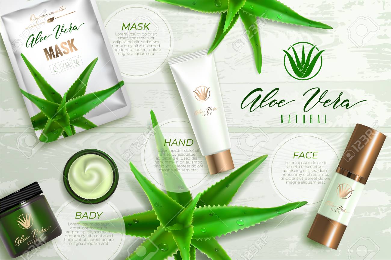aloe vera plant moisturizer